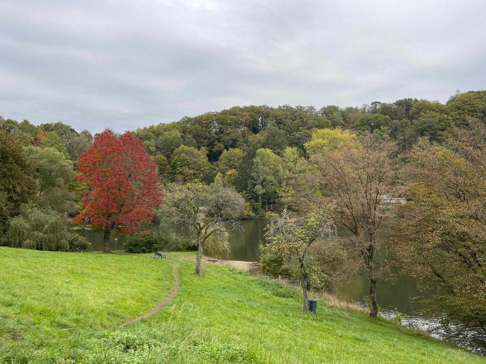 Ritterstube - Eifelstuben Mit Charme, Naehe See Und Burg, Aussergewoehnlich, Vulkaneifel Ulmen Экстерьер фото